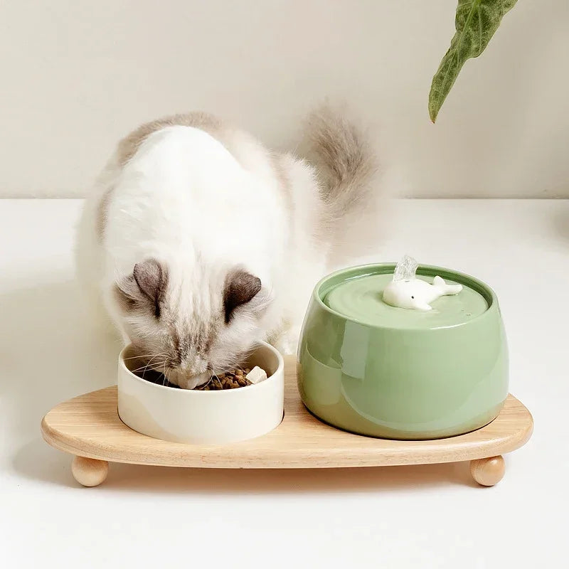Fontaine à Eau en Céramique pour Chat — 1.3L, Filtration Automatique & USB