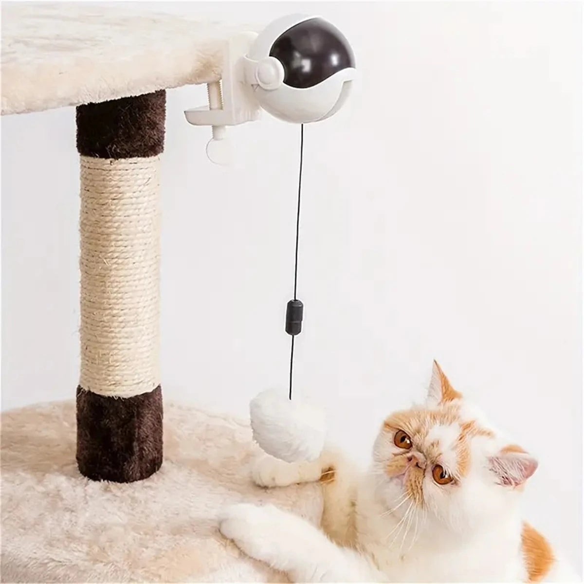 Jouet Électrique Balle Levante pour Chat — Interactif & Autonome