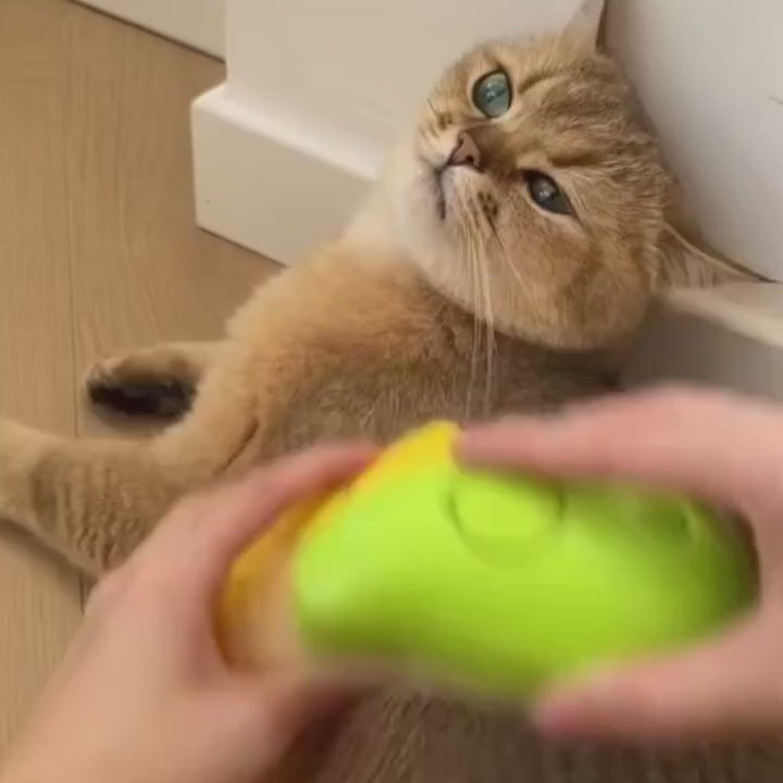 Brosse Vapeur 3-en-1 pour Chat — Toilettage, Massage & Démêlage